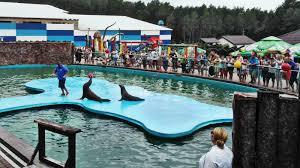 Park rekreacyjno-edukacyjny Sea Park Sarbsk